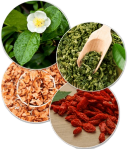 PT Trim Fat Burn Ingredients