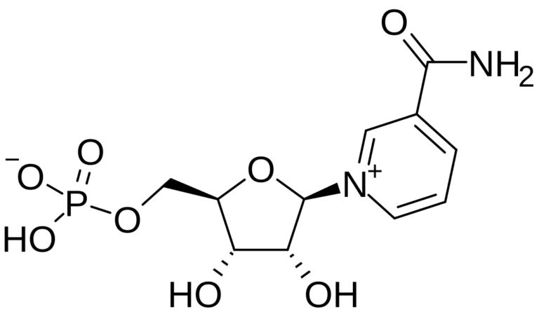 β-Nicotinamide Mononucleotide (NMN) 